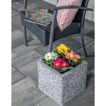 Leier virágtartó láda 50cm Euroline finommosott Berlin