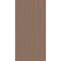 CALM Taupe dekor falburkoló 29,8x59,8x0,9 cm