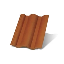Terrán DANUBIA (Renova Plus) Colorsystem alapcserép - natur