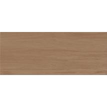 ALBERO ZBD 53004 falburkoló 20x50x1 cm