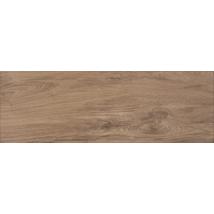 AMAZONAS ZGD 62105 gres padlóburkoló 20x60x0,9 cm