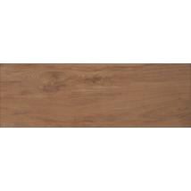 AMAZONAS ZGD 62106 gres padlóburkoló 20x60x0,9 cm