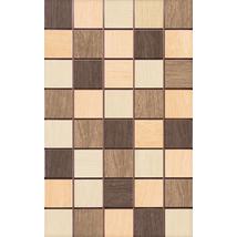 LEGNO ZVD 42034 mozaik 25x40 cm
