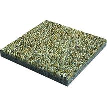 Leier Classic-Line mosott járdalap (40x40; 50x50) 3,8cm