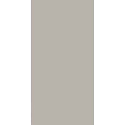 NEVE Grys Matt falburkoló 29,8x59,8x0,9 cm